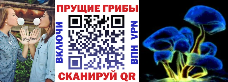 Псилоцибиновые грибы мицелий  дарнет шоп  Усолье 